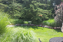 Landscape border in front of a wooded area.
