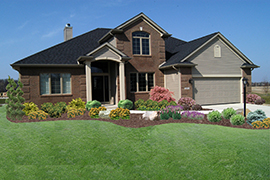 Various softscape specimens amoung decorative rocks.