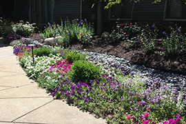 Complex and multi-layered landscape elements.