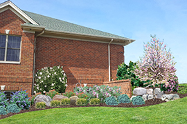 Plants with accenting rocks and stones.