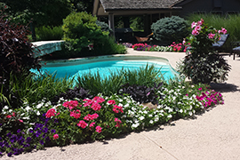 A garden by the pool.