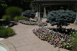 Mixed evergreens, perennial grasses, and annual flowers.