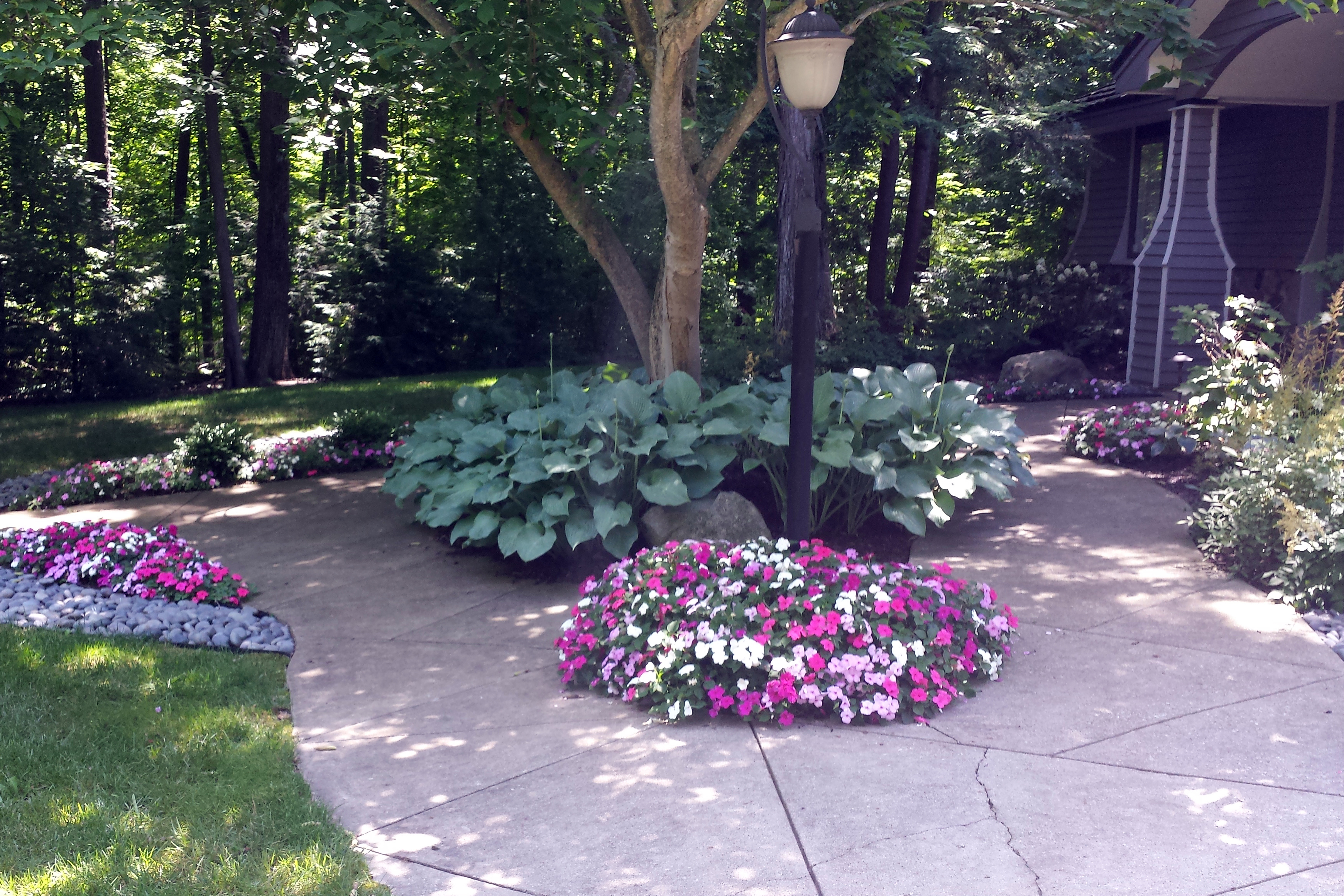 Color for a shady area