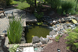 Water garden with waterfall