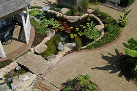 Combination water garden and fish pond.