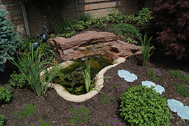 Small water garden for a small space.