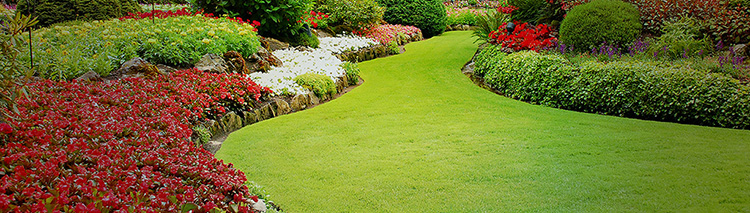 Panoramic Landscape Border