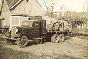 Truck relocating a large tree