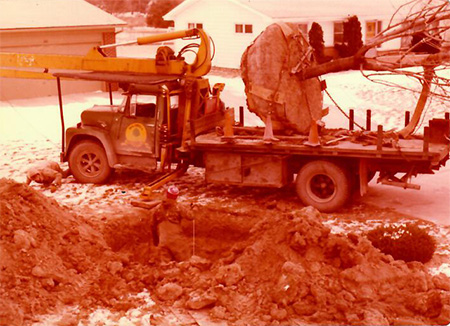 Moving large trees was our business